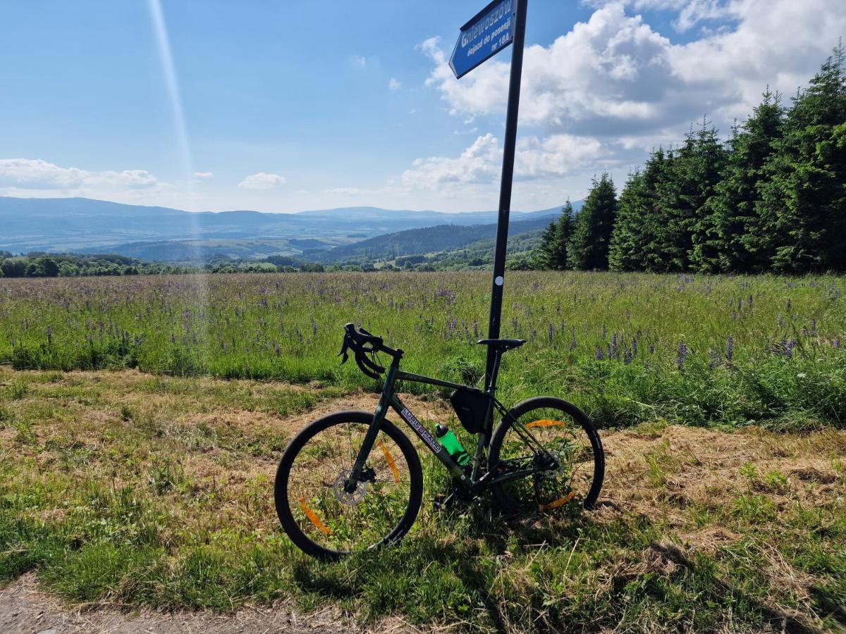 All Season Klimatyzowany Dom Przy Szlaku Z Prywatnym Tarasem I Widokiem Na Gory Orlickie - Sudety Sauna&Jacuzzi, Skalne Miasto Lasowka Exterior foto
